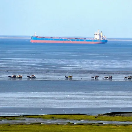 Apartment Strandhochhaus Sj10